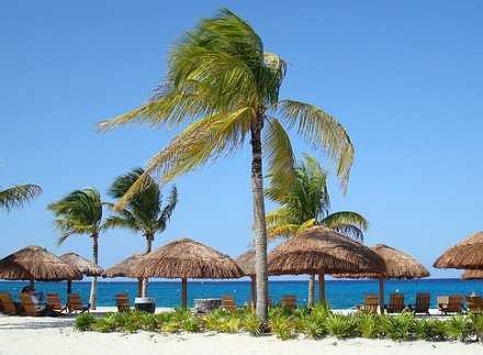 Best and Worst Times to Visit Cozumel